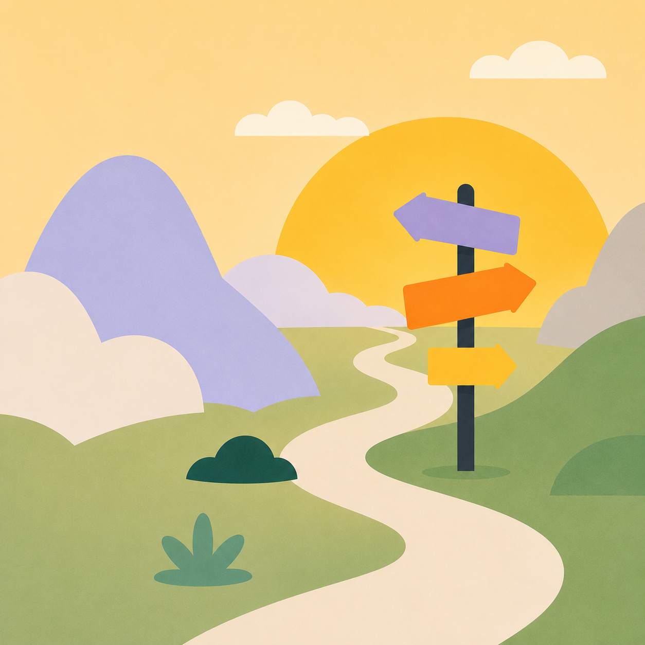 Navigating Ambiguity